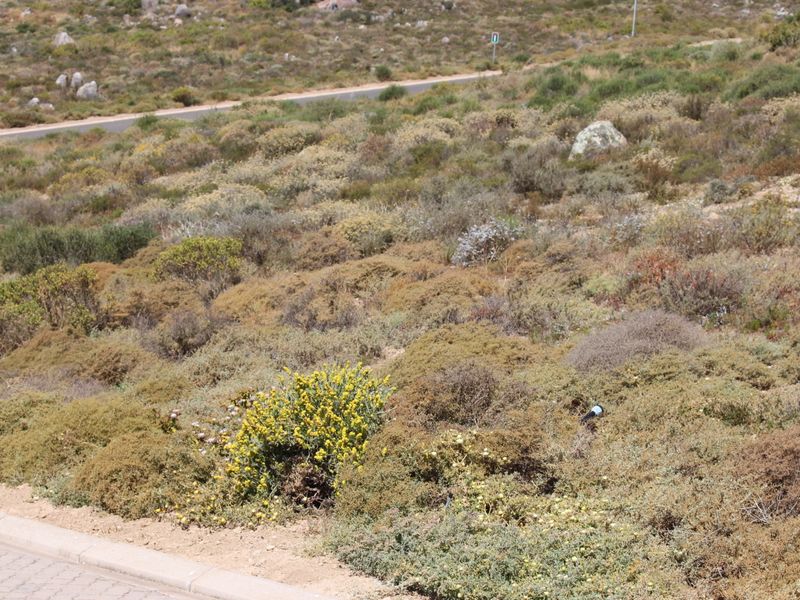 Very nice sea view - Photo 4