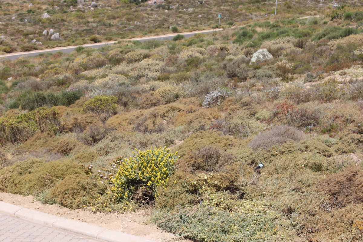 Very nice sea view - Photo 4