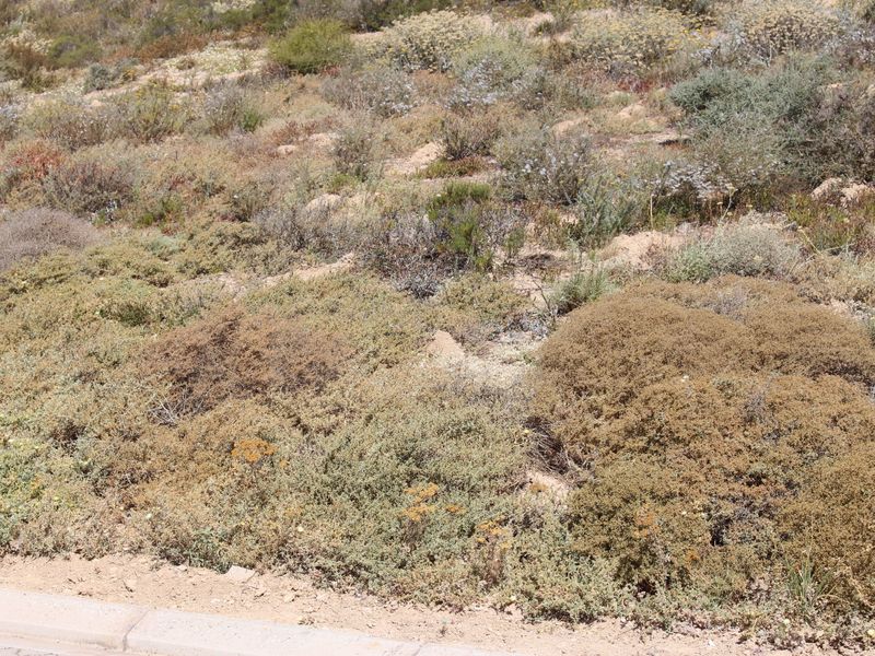 Very nice sea view - Photo 3