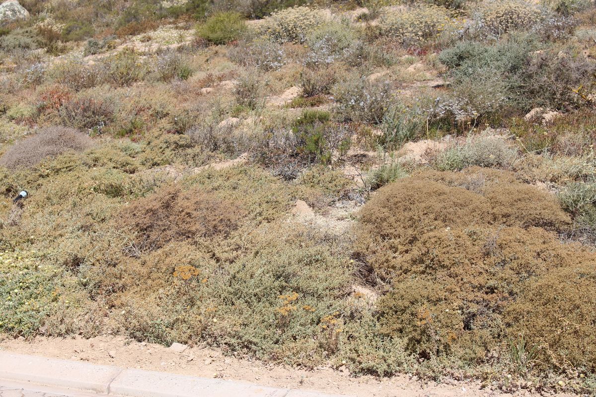 Very nice sea view - Photo 3