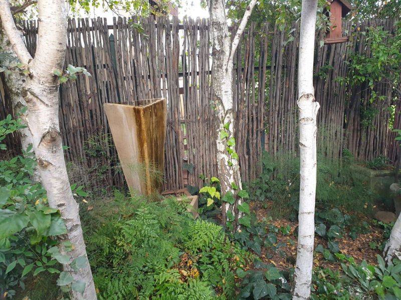 A private garden area featuring mature birch trees, lush ground cover, and a rustic timber fence with a decorative water feature.