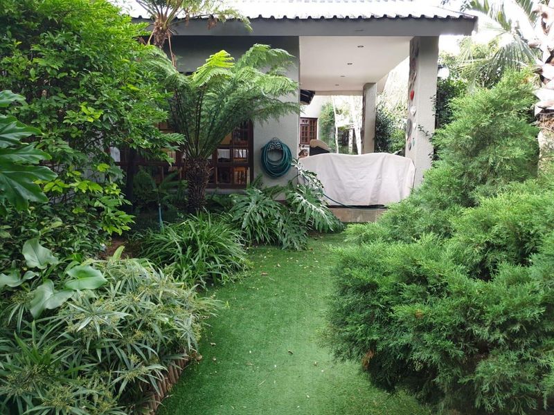 A lush, landscaped garden area featuring a covered patio space with recessed lighting and established greenery.