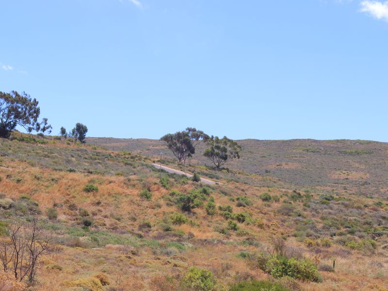 Vacant land for Sale in Kapteins Kloof in St Helena Bay - Photo 7