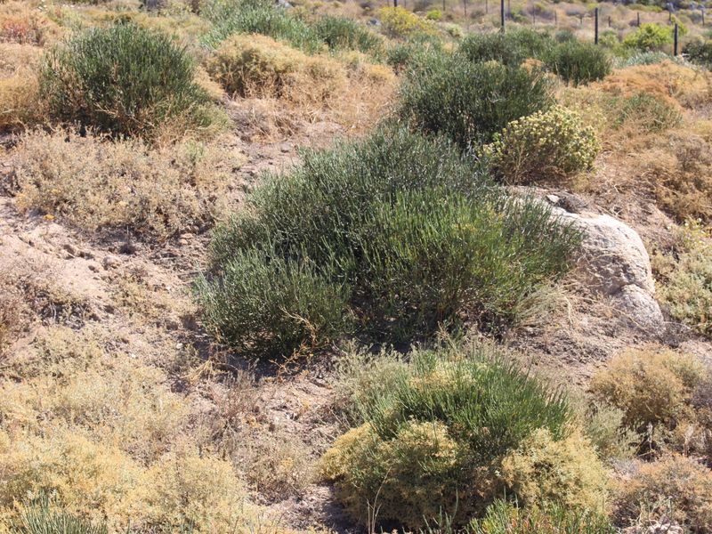 Stunning sea and mountain views - Photo 5