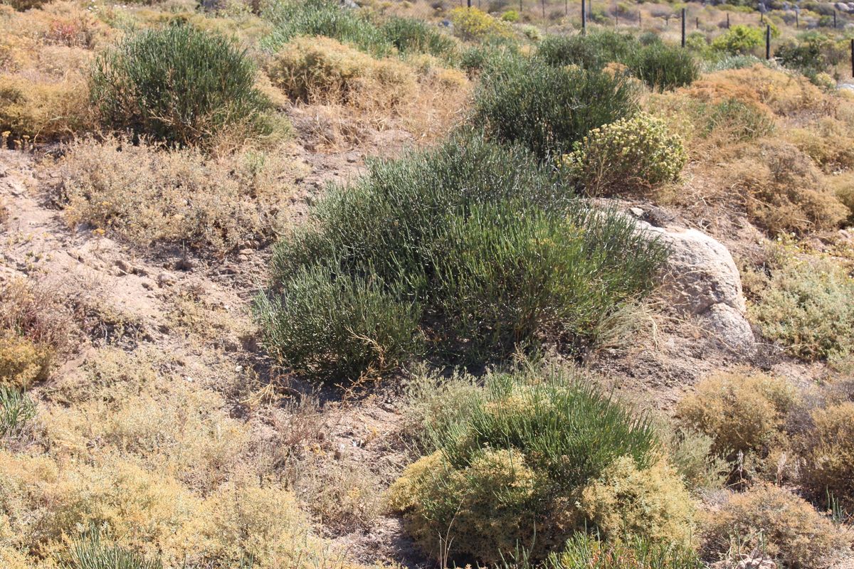 Stunning sea and mountain views - Photo 5