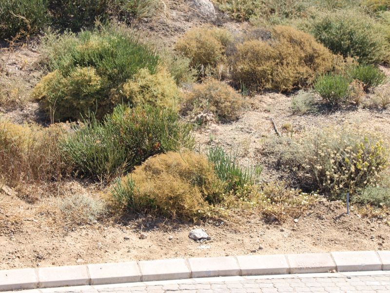 Stunning sea and mountain views - Photo 4