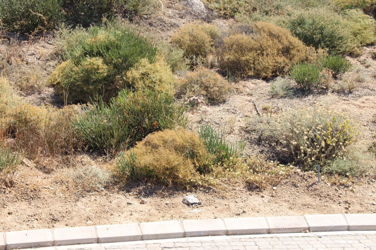 Stunning sea and mountain views - Photo 4