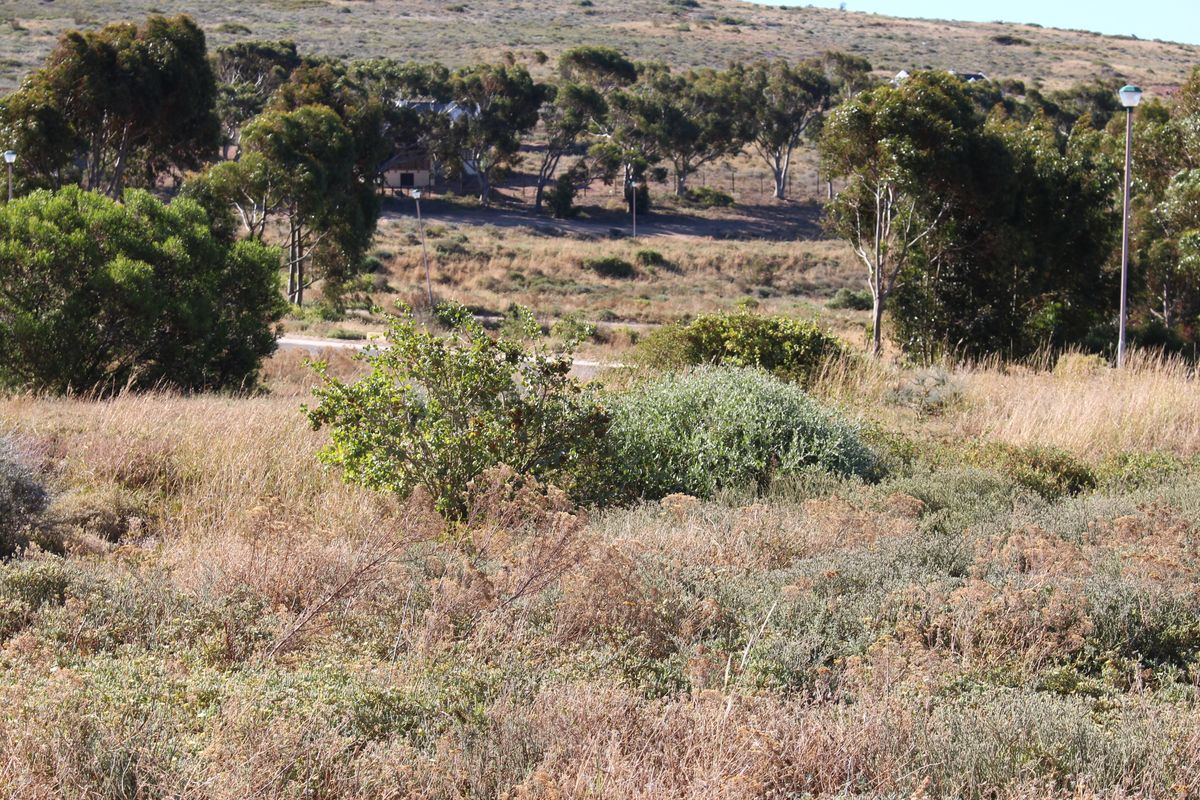 Stunning sea and mountain views - Photo 3