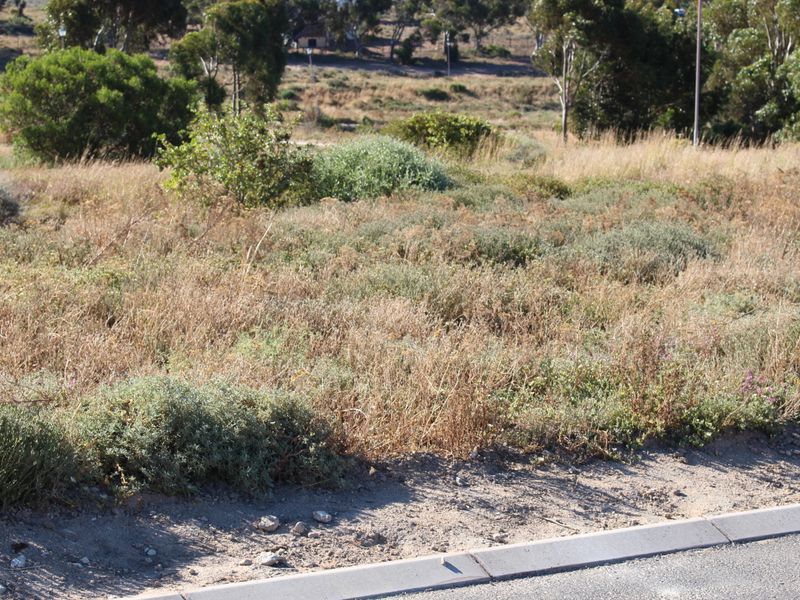 Stunning sea and mountain views - Photo 7