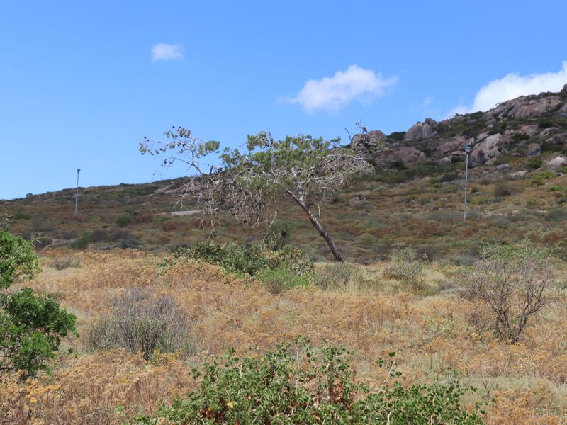 "Prime 400m2 vacant land with stunning ocean views, perfect for building your dream home. - Photo 10