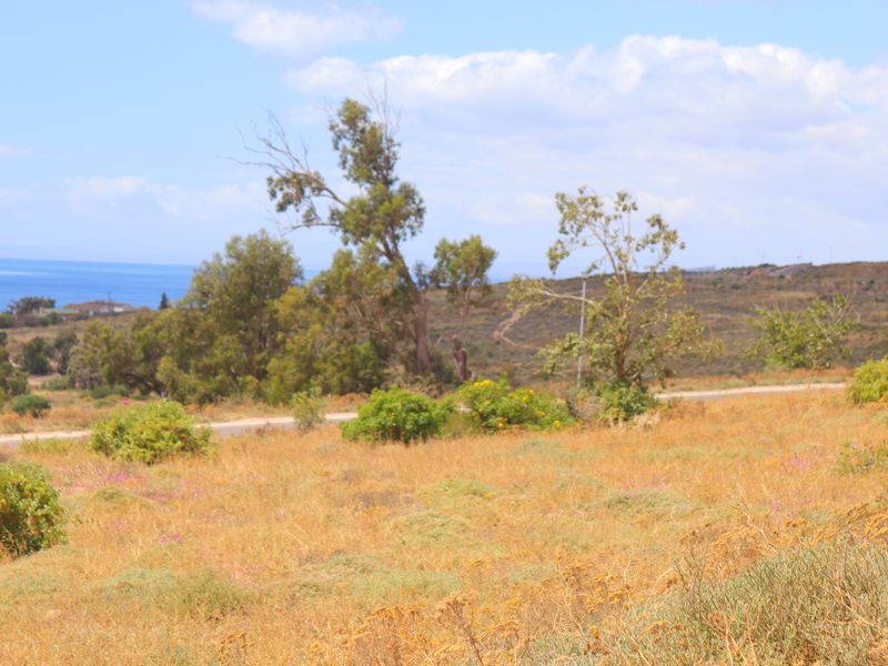 "Prime 400m2 vacant land with stunning ocean views, perfect for building your dream home. - Photo 7