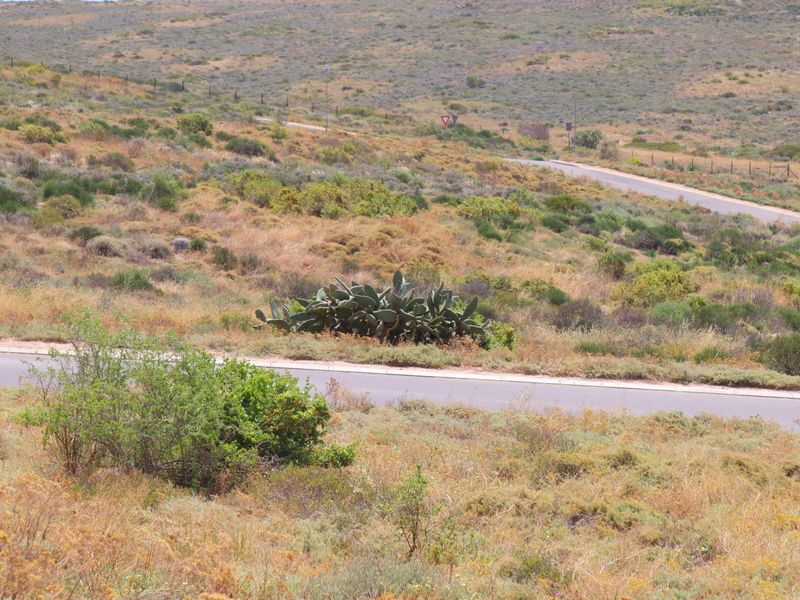 "Prime 400m2 vacant land with stunning ocean views, perfect for building your dream home. - Photo 4