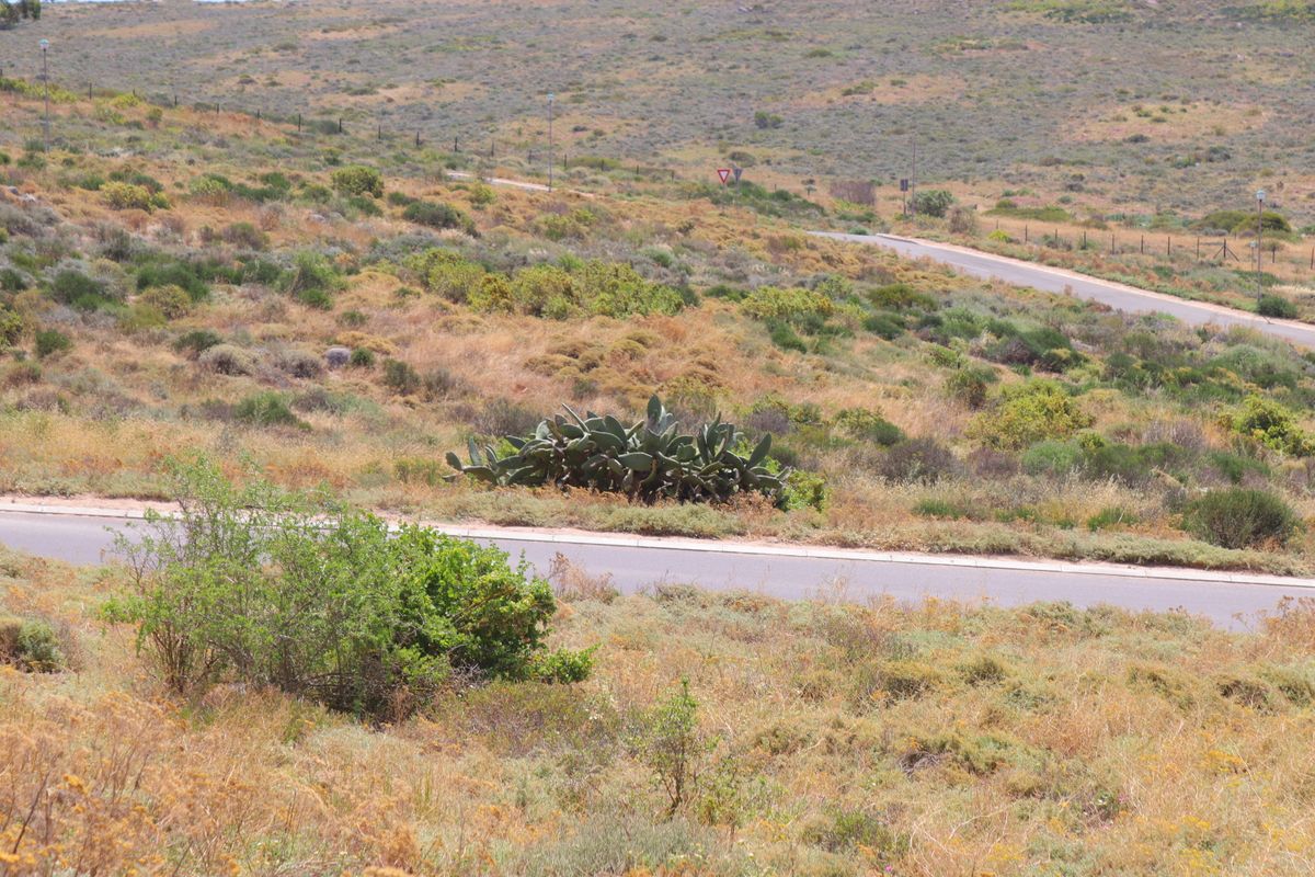 "Prime 400m2 vacant land with stunning ocean views, perfect for building your dream home. - Photo 4