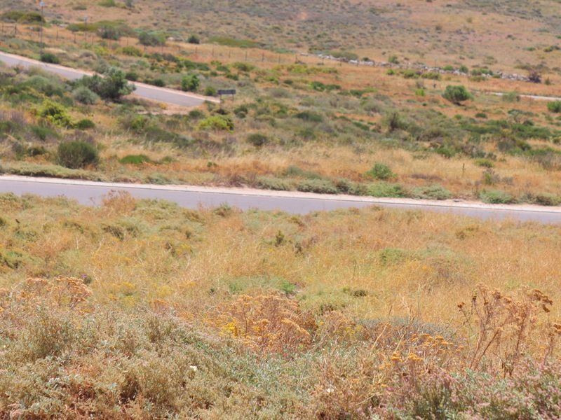"Prime 400m2 vacant land with stunning ocean views, perfect for building your dream home. - Photo 8