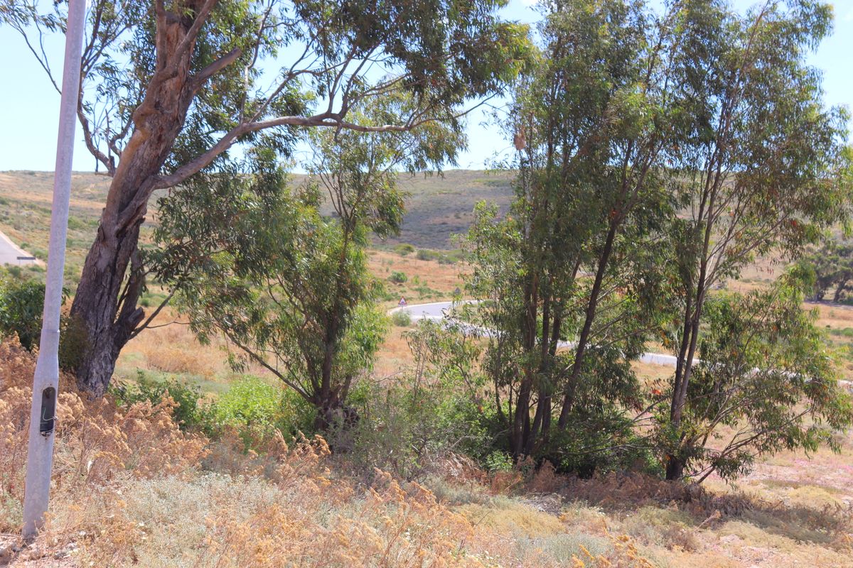 Vacant land for sale in Kapteins Kloof in St Helena Bay - Photo 2