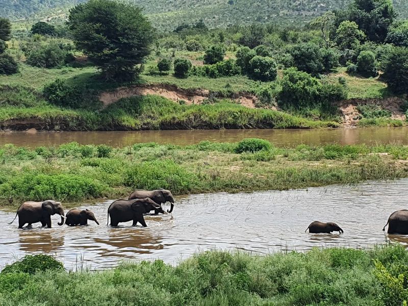 STRATHMORE ECO ESTATE: LAST AVAILABLE CROCODILE RIVER STAND - Photo 2