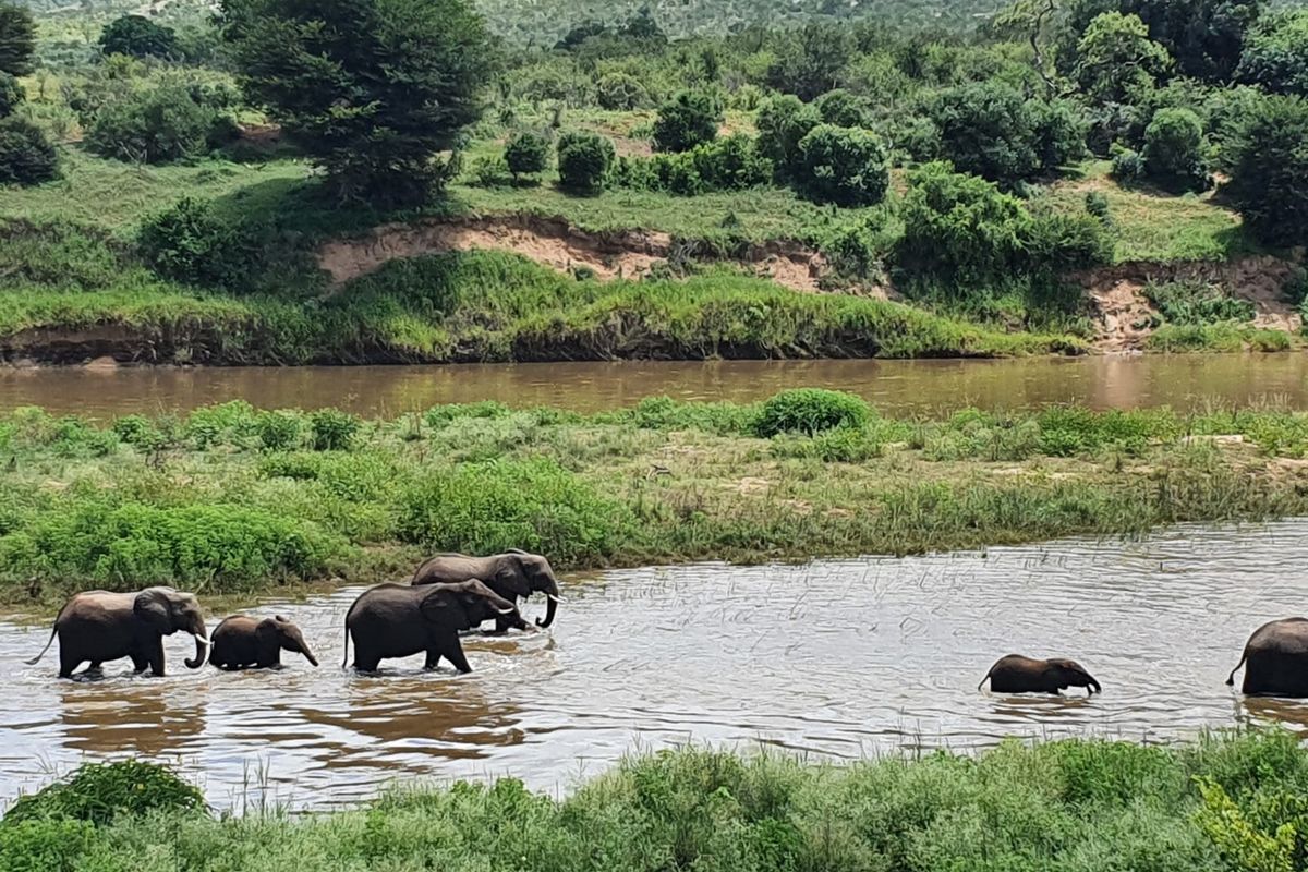 STRATHMORE ECO ESTATE: LAST AVAILABLE CROCODILE RIVER STAND - Photo 2