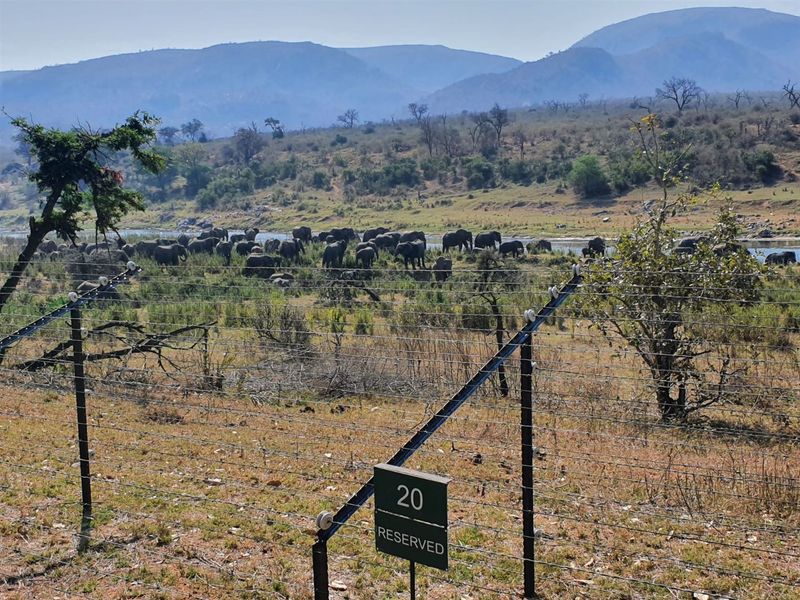 STRATHMORE ECO ESTATE: LAST AVAILABLE CROCODILE RIVER STAND - Photo 3