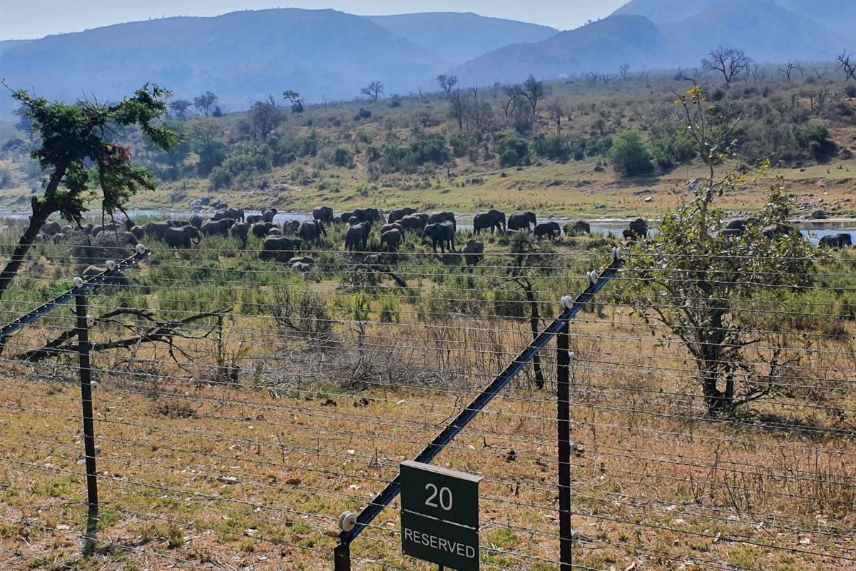 STRATHMORE ECO ESTATE: LAST AVAILABLE CROCODILE RIVER STAND - Photo 3