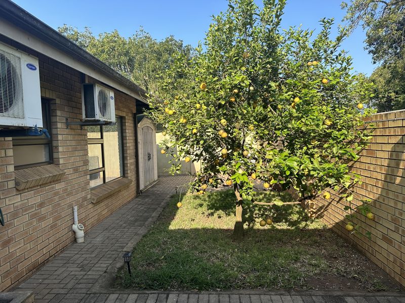 A private rear courtyard featuring a paved walkway, brick boundary walls, and a mature fruit tree, providing a low-maintenance outdoor space.