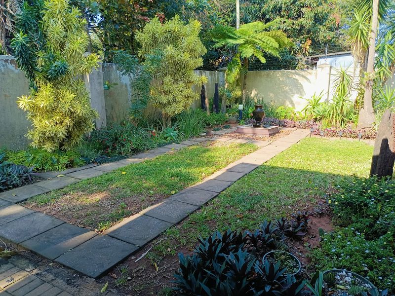 A landscaped garden featuring a paved walkway, established greenery, a central water feature, and a perimeter wall with electric fencing.