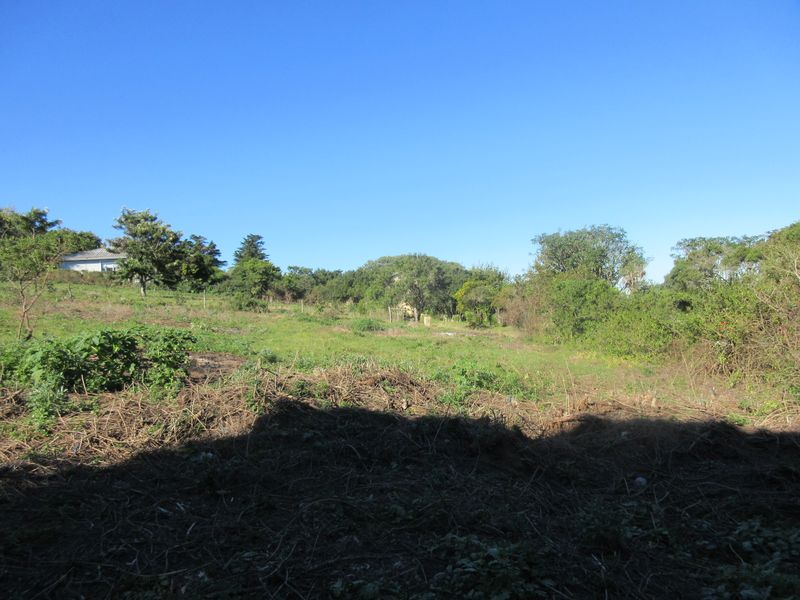 A view of a sloped, partially cleared residential plot featuring mature trees and natural vegetation under a clear blue sky.