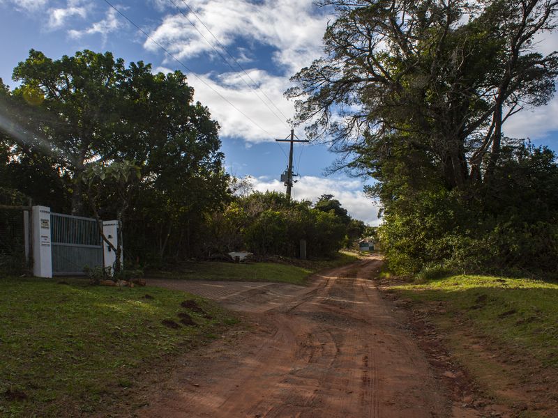 A view of a dirt access road leading to a gated residential property entrance, surrounded by mature trees and vegetation.
