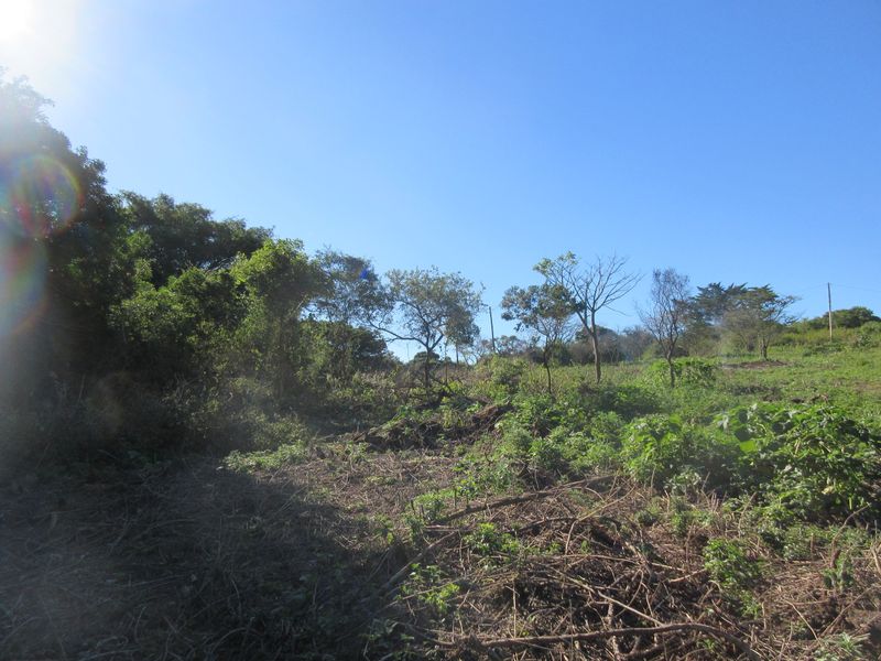 A view of a vacant residential plot featuring natural vegetation and cleared land under a clear blue sky.
