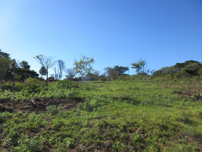A view of a sloped, undeveloped residential plot featuring natural vegetation and cleared areas under a clear blue sky.
