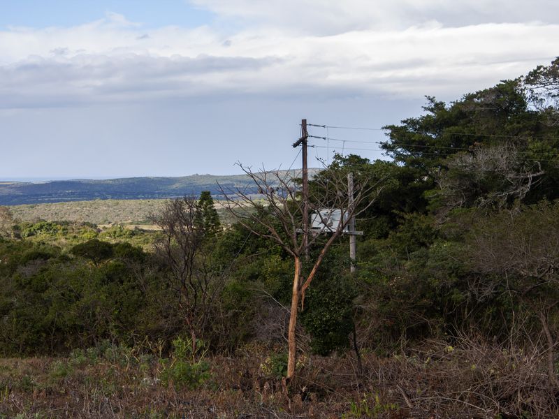 A scenic landscape view of the surrounding natural terrain, featuring native vegetation and existing utility infrastructure on the property.