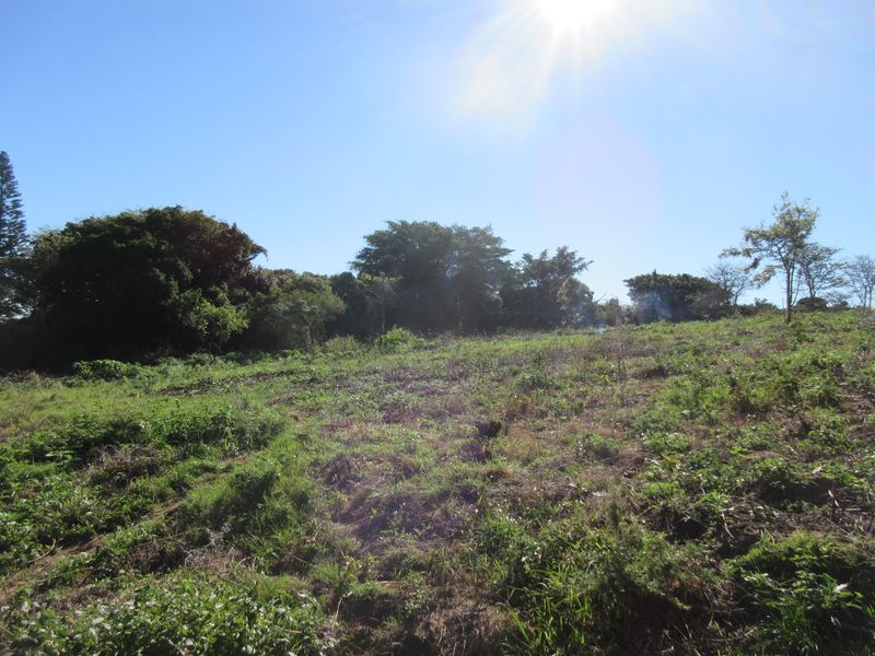 A view of the vacant residential land featuring natural grassland and mature trees under a clear sky.