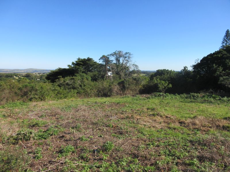 A view of the vacant residential land featuring natural vegetation and a utility pole with a transformer.