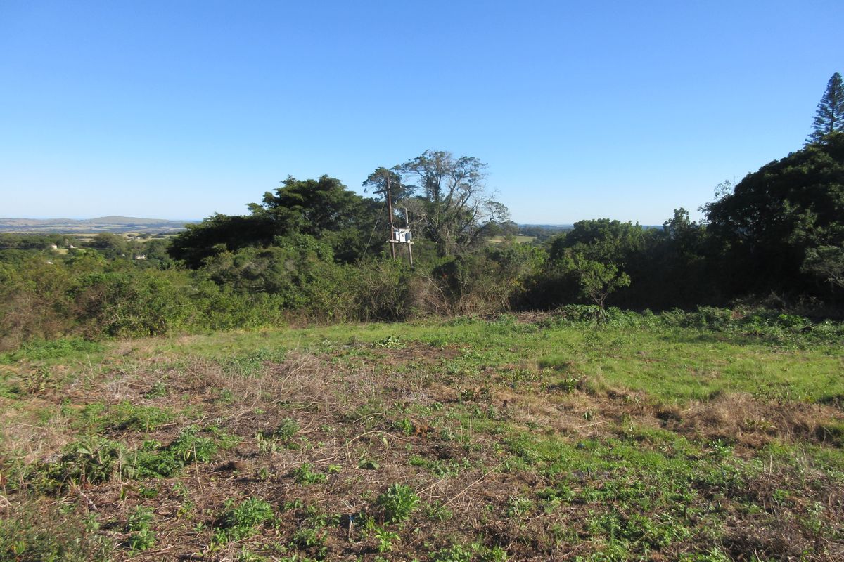 A view of the vacant residential land featuring natural vegetation and a utility pole with a transformer.