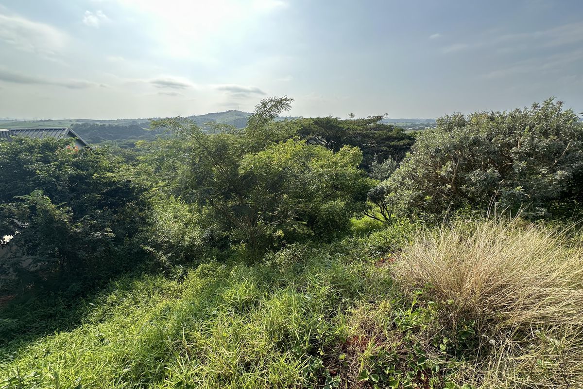 Beautiful stand with plans on Zini River Estate - Photo 5