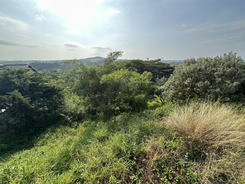 Beautiful stand with plans on Zini River Estate - Photo 5