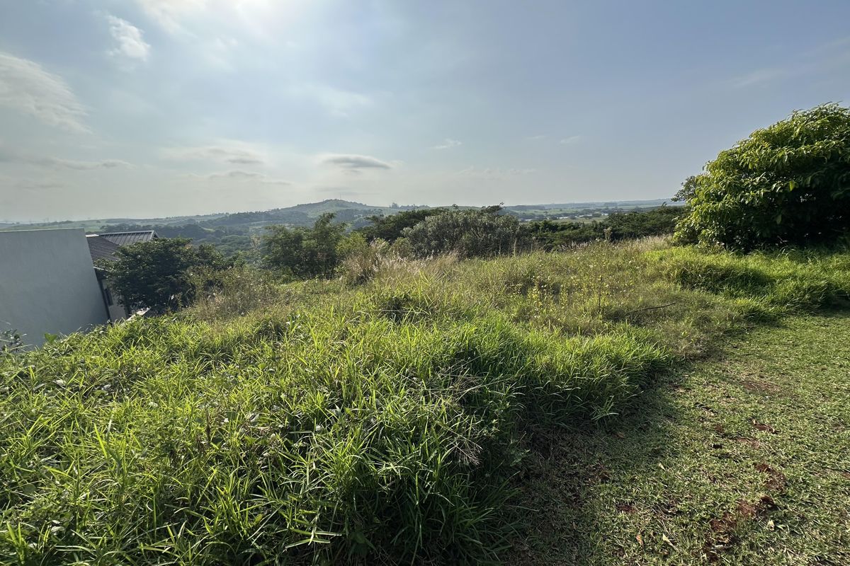 Beautiful stand with plans on Zini River Estate - Photo 3