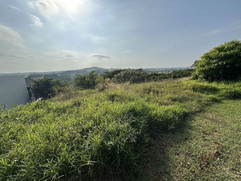 Beautiful stand with plans on Zini River Estate - Photo 3