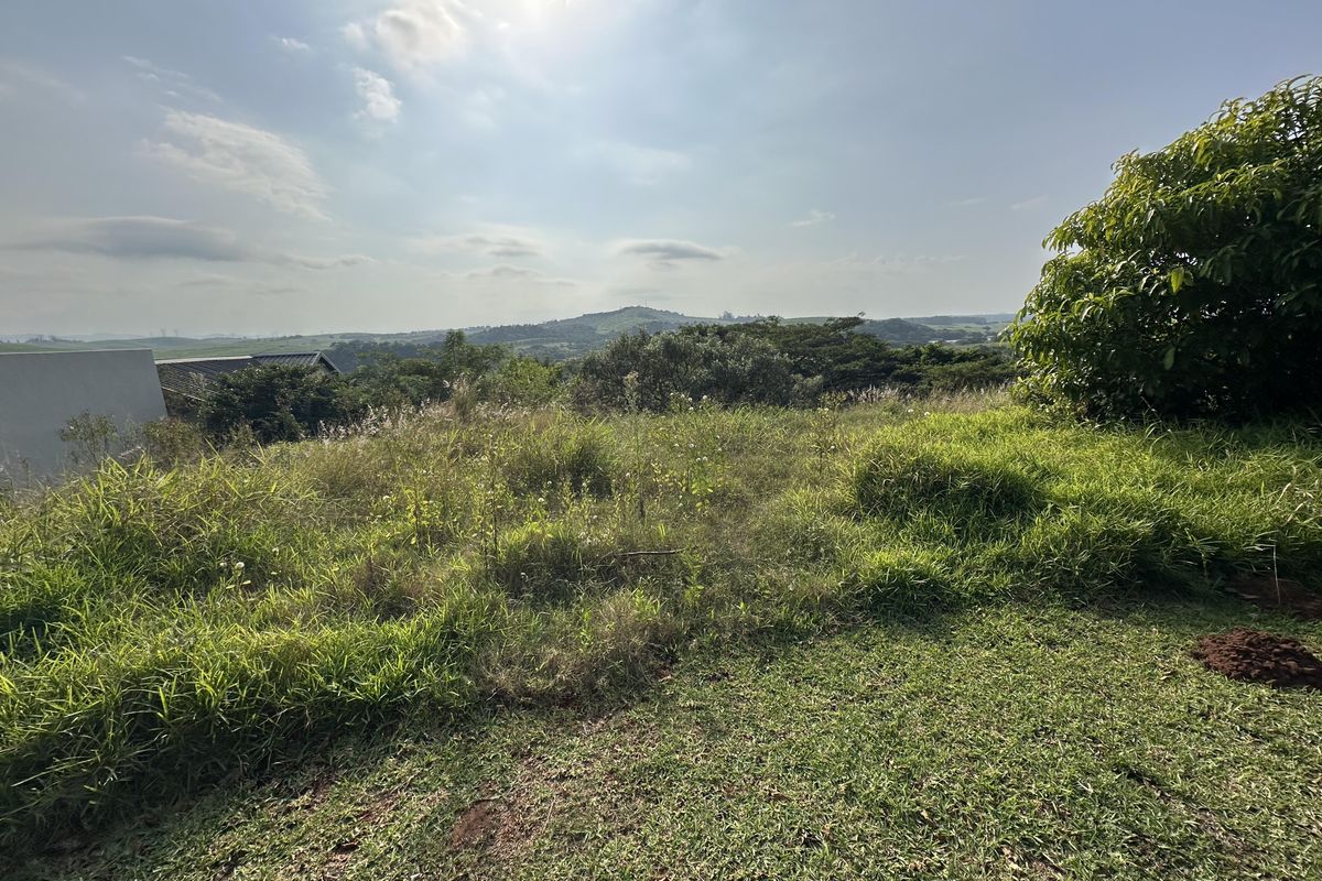 Beautiful stand with plans on Zini River Estate - Photo 2