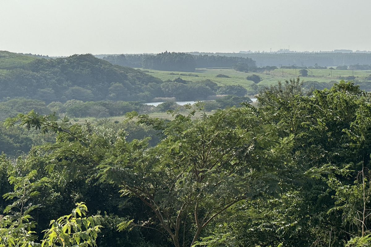 Beautiful stand with plans on Zini River Estate - Photo 4