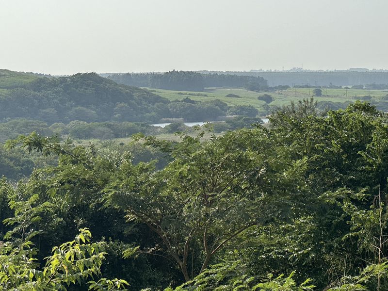 Beautiful stand with plans on Zini River Estate - Photo 4