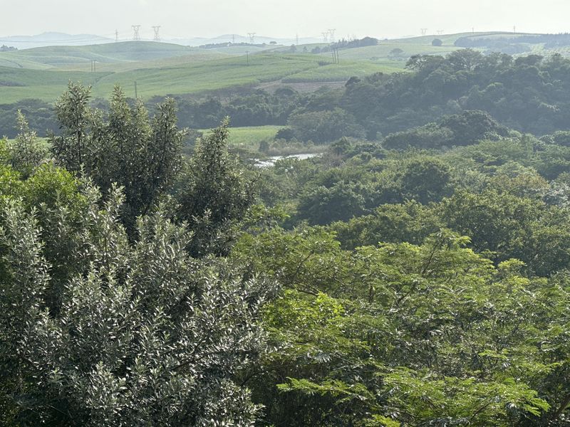 Beautiful stand with plans on Zini River Estate - Photo 8