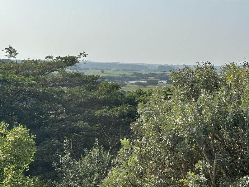 Beautiful stand with plans on Zini River Estate - Photo 6