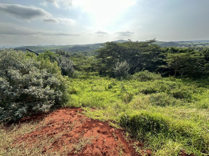 Beautiful stand with plans on Zini River Estate - Photo 7