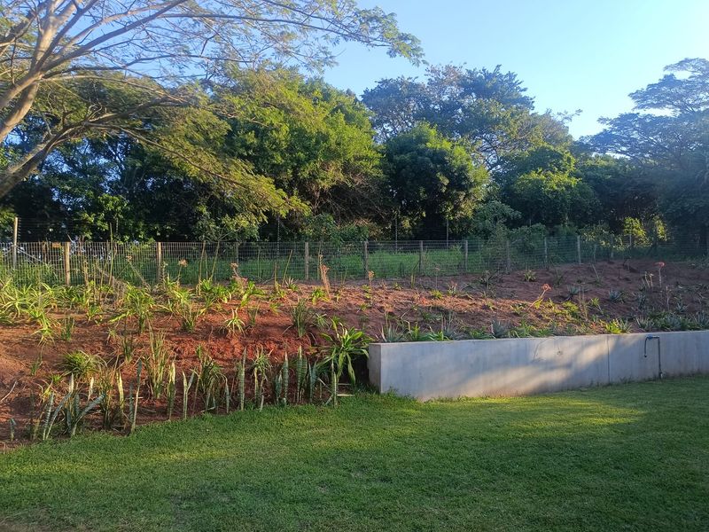 A well-maintained garden area featuring a concrete retaining wall, manicured lawn, and a landscaped embankment with perimeter fencing.