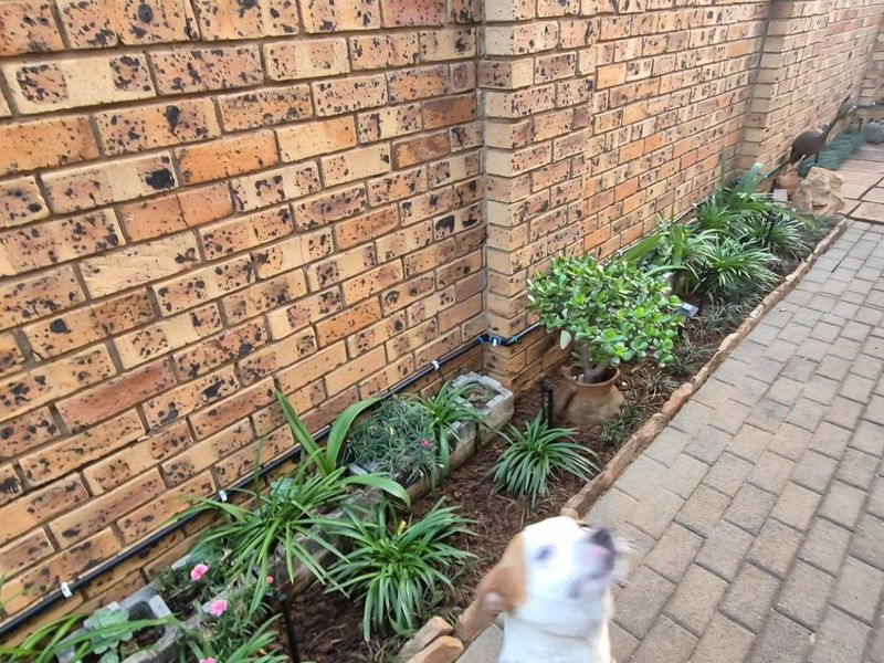 A side garden area featuring a face brick boundary wall, paved walkway, and an installed irrigation system along the garden bed.