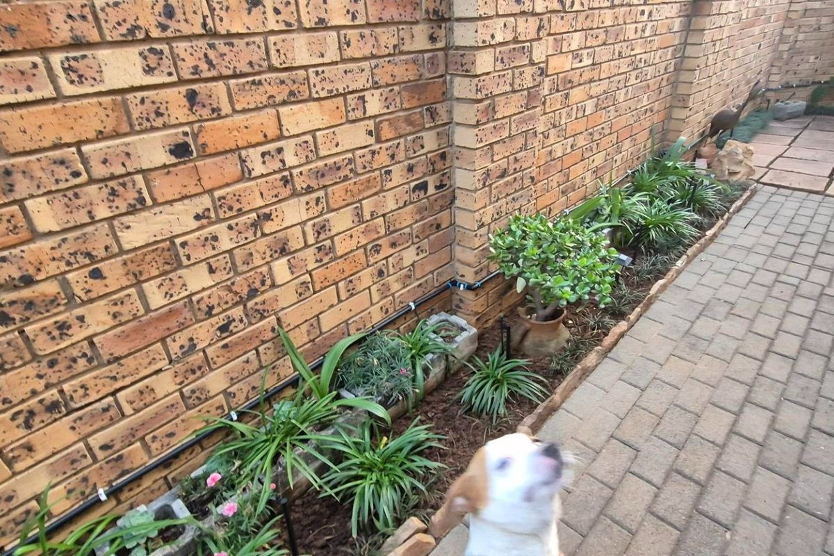A side garden area featuring a face brick boundary wall, paved walkway, and an installed irrigation system along the garden bed.