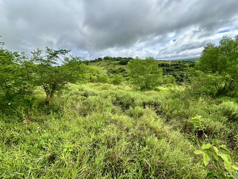 A Canvas of Natural Beauty Awaits! - Photo 1