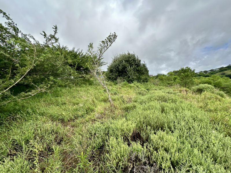 A Canvas of Natural Beauty Awaits! - Photo 4