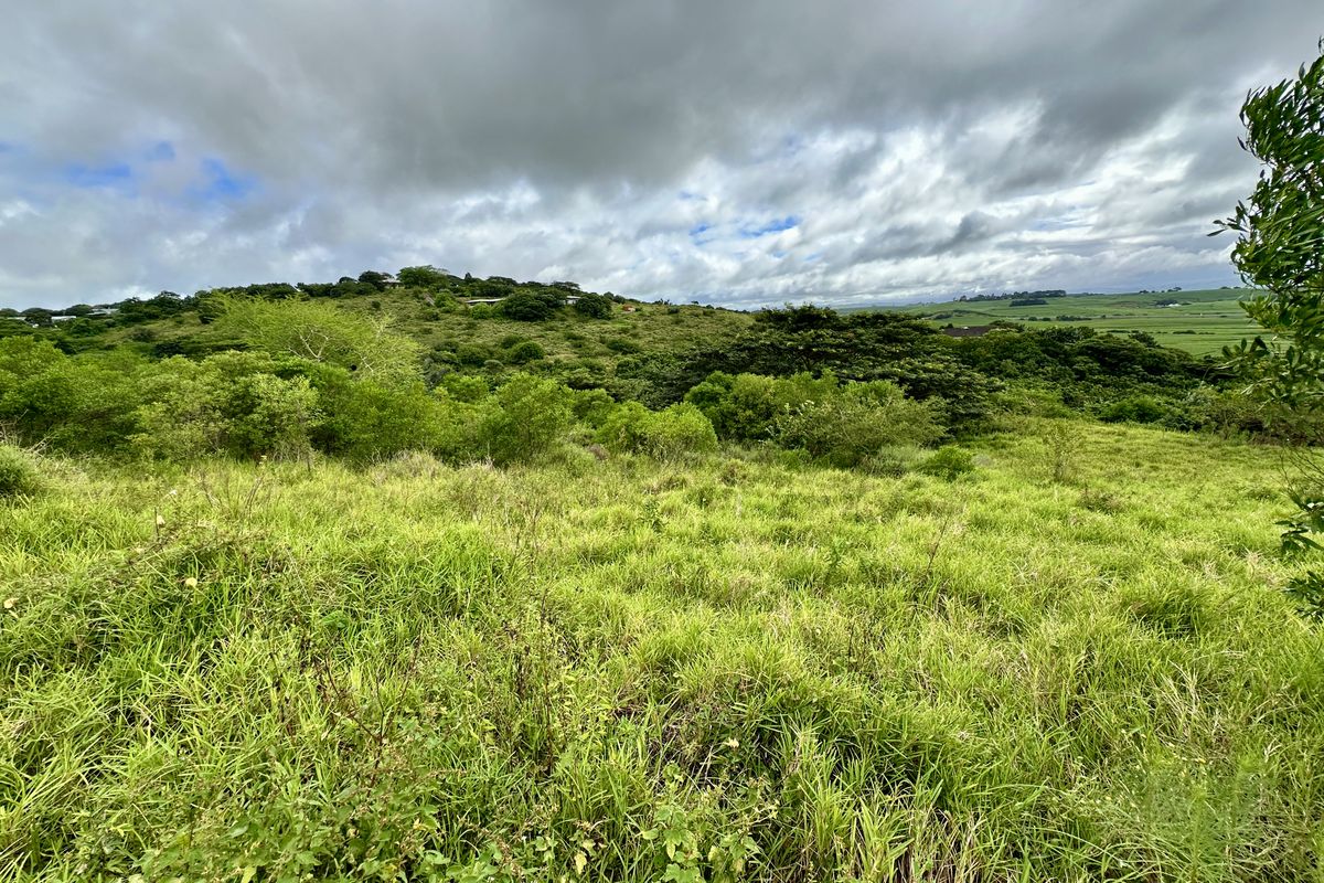 A Canvas of Natural Beauty Awaits! - Photo 2