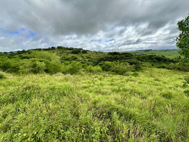 A Canvas of Natural Beauty Awaits! - Photo 2